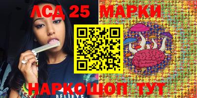 МДПВ Донской