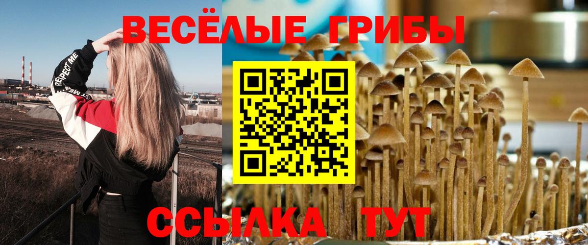 Псилоцибиновые грибы MAGIC MUSHROOMS Назрань