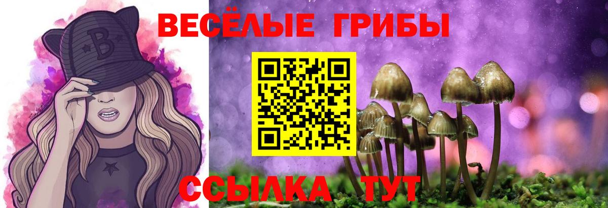 Галлюциногенные грибы Cubensis  Галлюциногенные грибы ЛСД  Вход с VPN  Назрань 