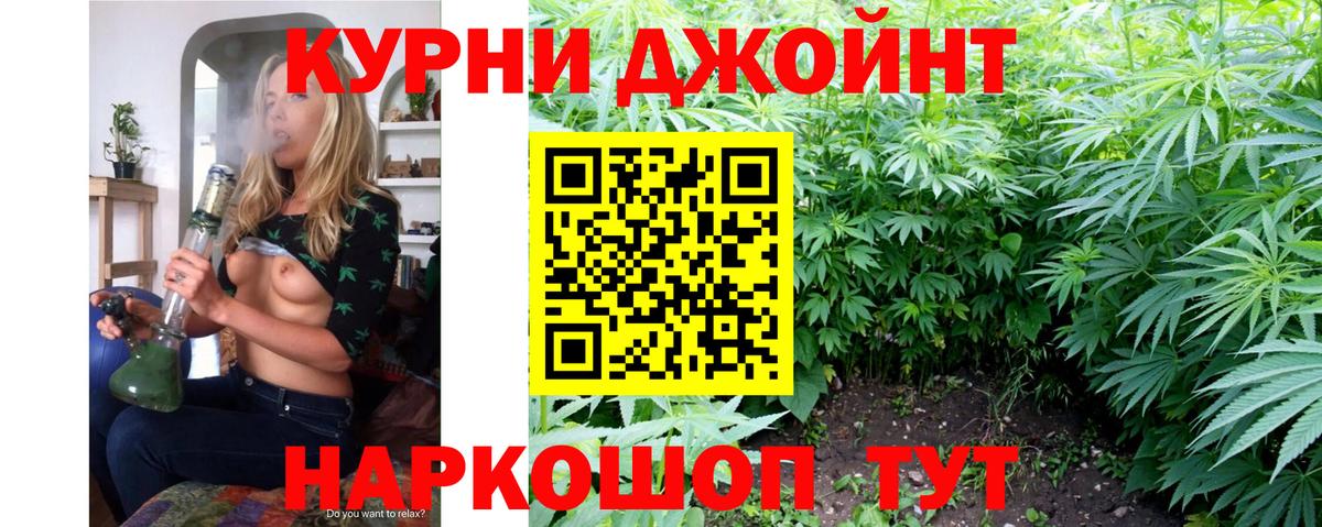 Назрань  Бошки марихуана сатива  Бошки марихуана тримм  Вход с VPN 